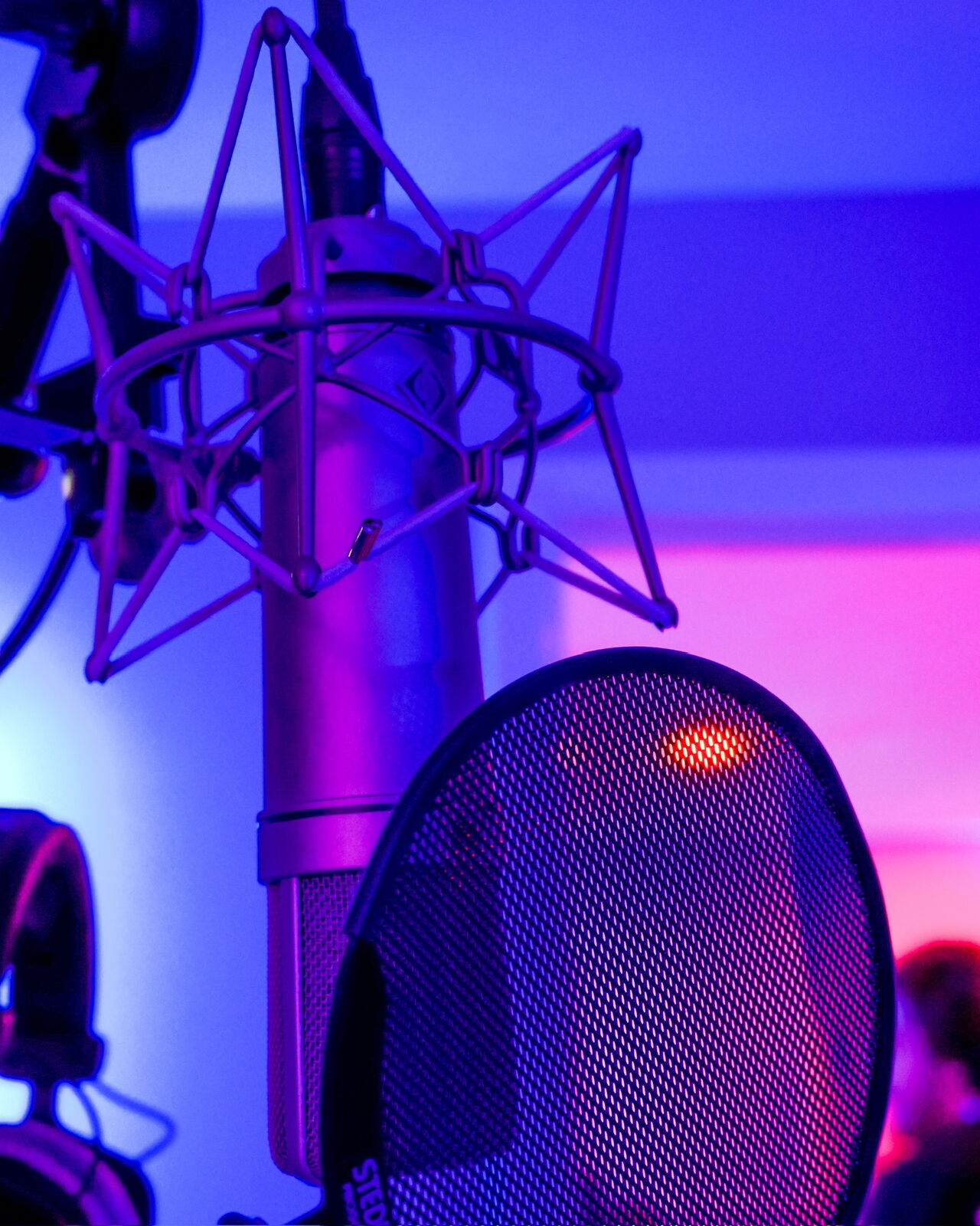 Vocal session